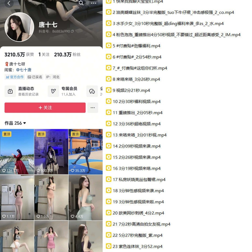 抖音 唐十七 200万粉顶级美女 高价付费合集